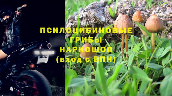 стафф Алзамай