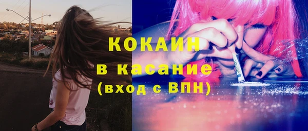 стафф Алзамай