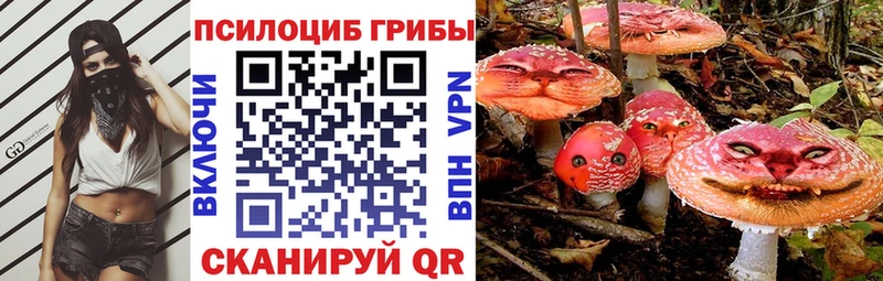 Псилоцибиновые грибы мухоморы  блэк спрут ТОР  это какой сайт  Ковров 